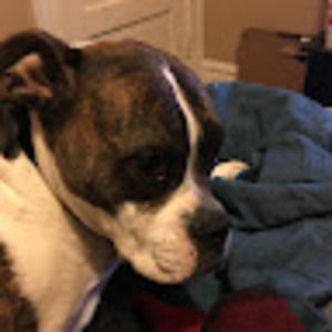 Meet your Posher, Tyler